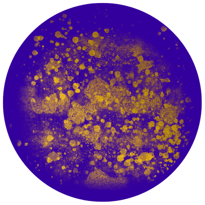 farbkomination violett gold